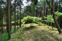 Kazurayama10.jpg