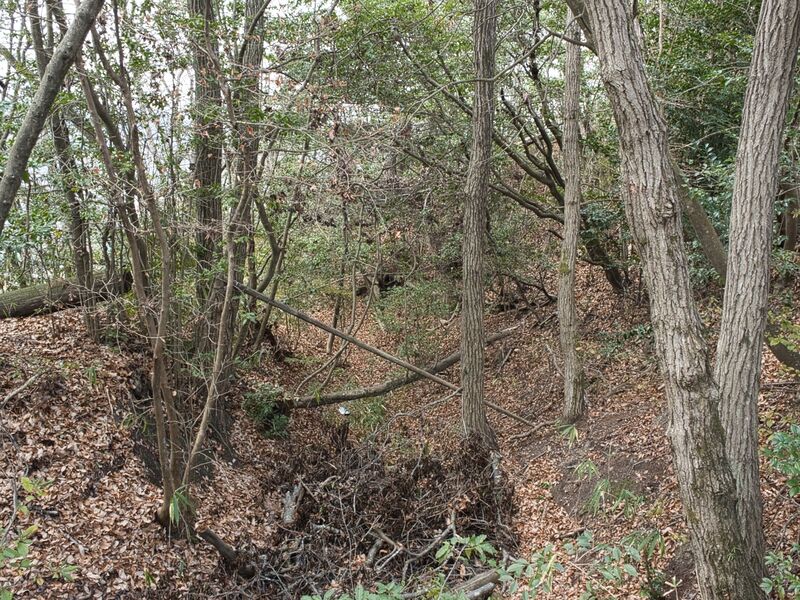 File:Kizukyoto18.jpg