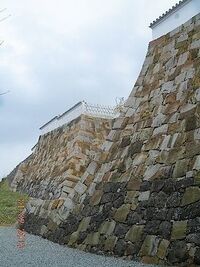 Tomioka8.jpg