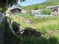 GamouTsuda (8).JPG