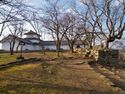 Hikone56.jpg