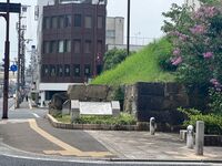 Himejimiddlemoat1.jpg