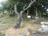 Shimizuyamajô (22).JPG