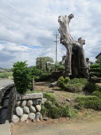 YabarahigashimuraYashiki08.JPG