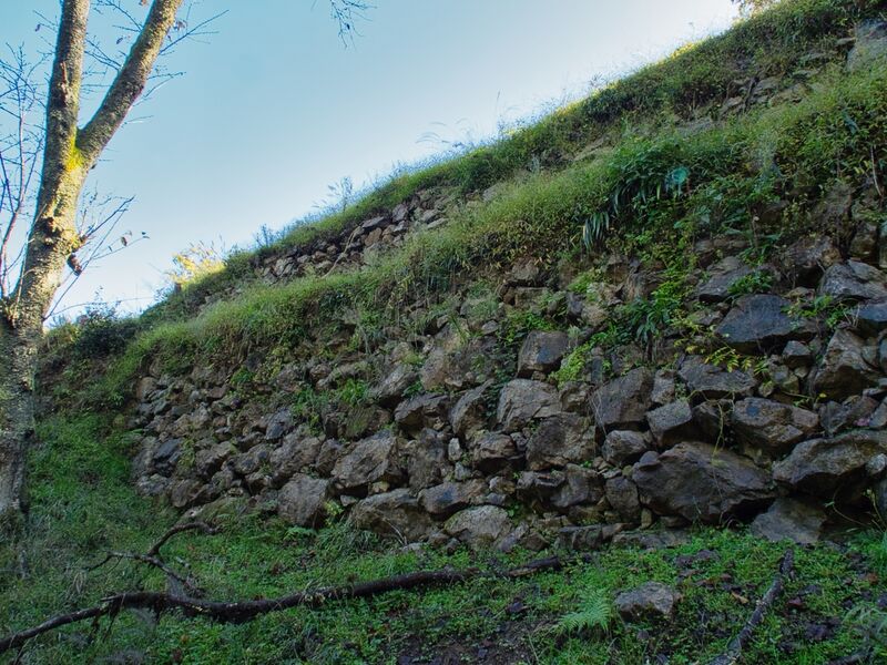 File:Yamagajinya27.jpg