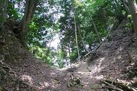 Hachioji15.jpg