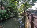 Himejimiddlemoat33.jpg