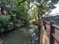 Himejimiddlemoat33.jpg