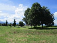 HiraideC (8).JPG