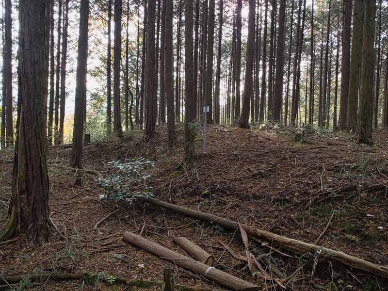File:Koideyakatakyoto13.jpg