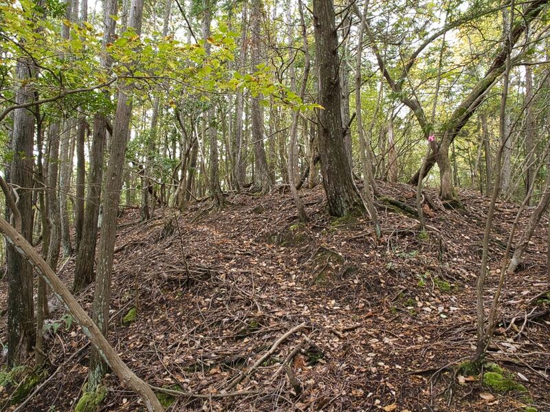 File:Minamihatta7.jpg