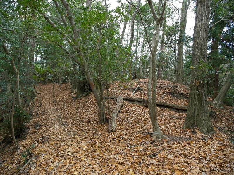 File:Nakaokyoto28.jpg