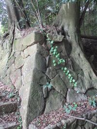 NukataKubotajou (7).jpg