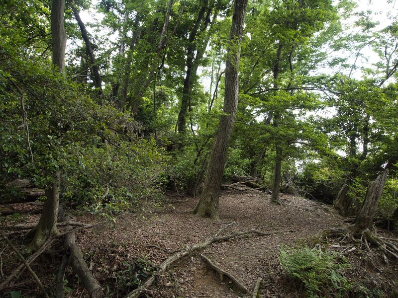 File:Nyoigatake34.jpg