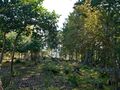 Thumbnail for version as of 21:00, 8 May 2025