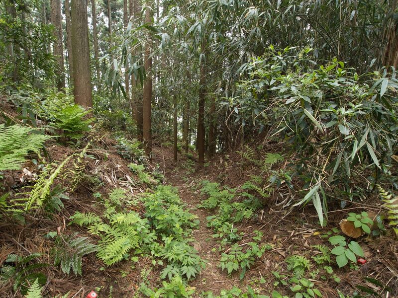 File:Shirahata11.jpg
