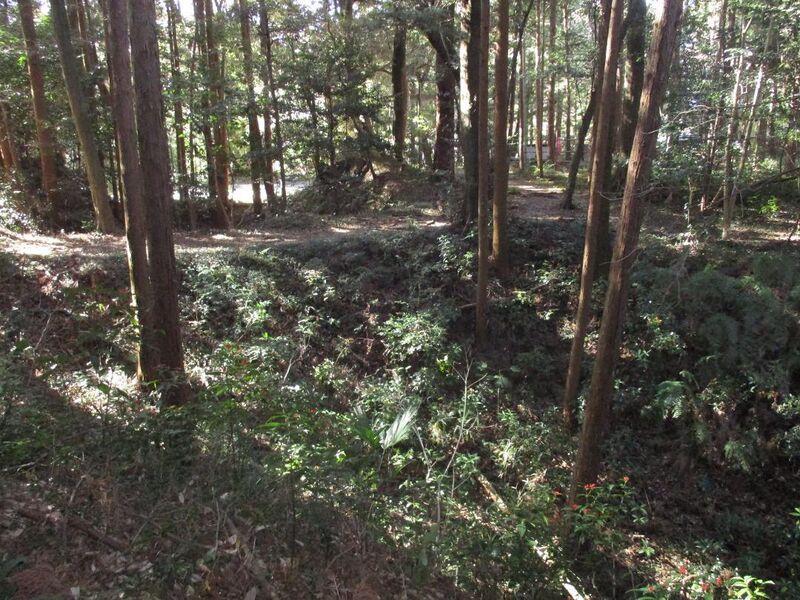 File:ShitaraNodajou (38).jpg