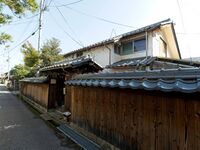 Taniyamahikone1.jpg