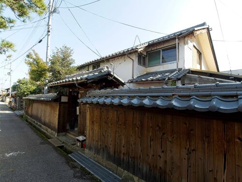Taniyamahikone1.jpg