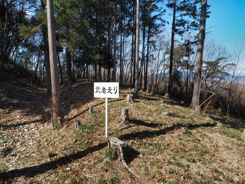 File:Teraochausuyama18.jpg