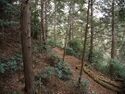 Tsubokasayama33.jpg