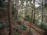 Tsubokasayama33.jpg