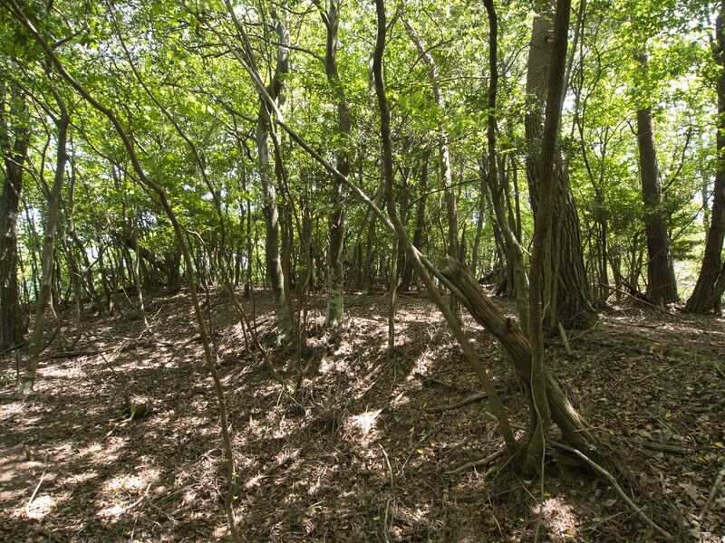 File:Yagitanba42.jpg