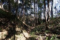 Aoyama7.jpg