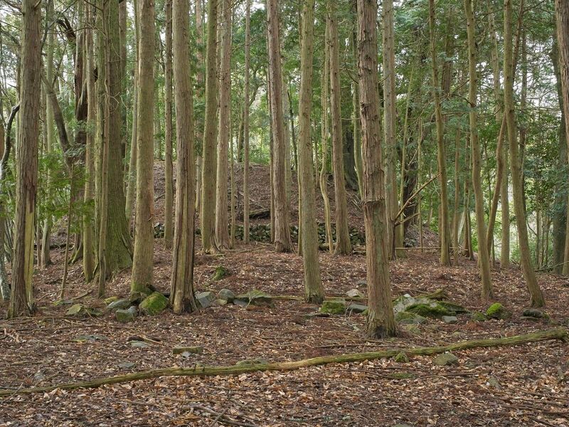File:Goryu28.jpg