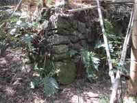 Hakoyanagijou (1).JPG