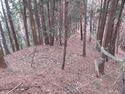 Iinawajou (10).JPG