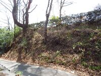 InaOhkubojou (2).JPG