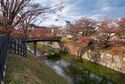 Matsumoto8.jpg
