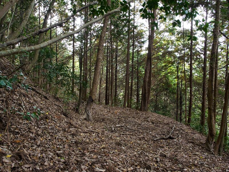 File:Okudanitanba4.jpg