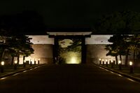 Osaka night9.jpg
