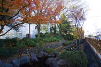 Takasaki5.jpg