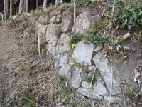 TakiwakiJinya (6).jpg