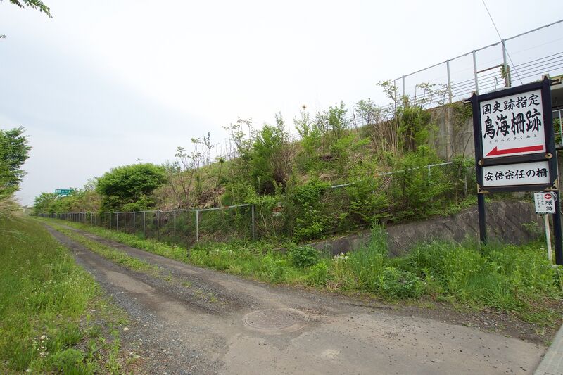 File:Tonomi6.jpg