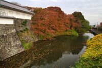 Yamagata26.jpg