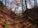 鴨ヶ嶽城 26.JPG