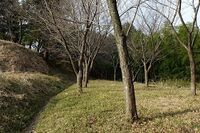 Akutagawasan6.jpg