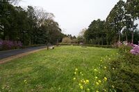 Kawamura26.jpg