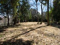 Kokashimoyama3.jpg
