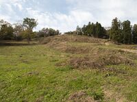 Koori51.jpg