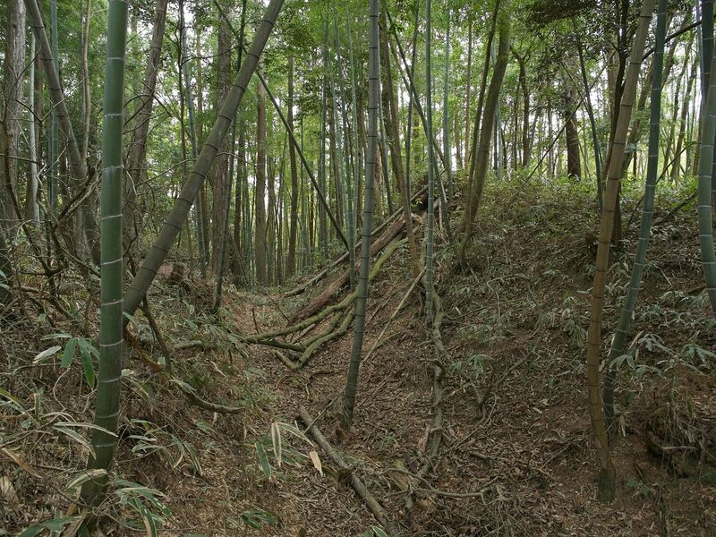 File:Ogawanishinokoka21.jpg