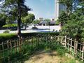 Thumbnail for version as of 14:00, 23 July 2020