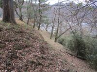 TsuruHanasakijou (4).JPG