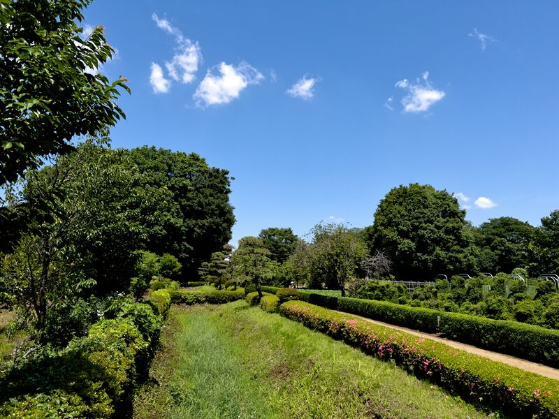 File:Akayamajinya7.jpg