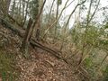 Thumbnail for version as of 00:04, 25 March 2023
