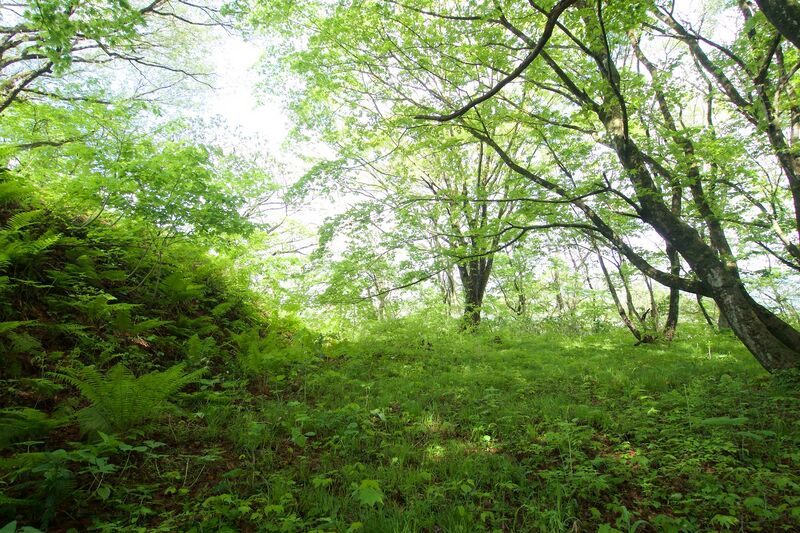 File:Kakunodate123.jpg